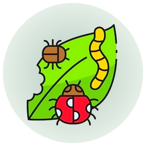 Insecticide | কীটনাশক