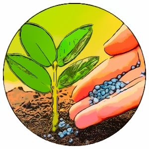 Fertilizer | সার