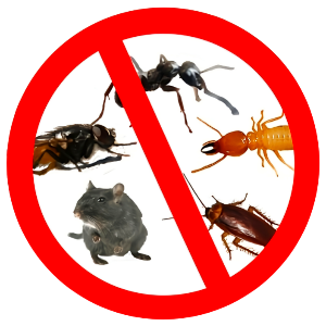 Pest Control | কীটপতঙ্গ নিয়ন্ত্রণ