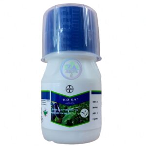 Oberon 240sc 50ml