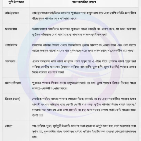 NPK Fertilizer Bundle : Urea 250gm+ TSP 300gm+ MOP 250gm+ Magnesium 200gm - Image 2